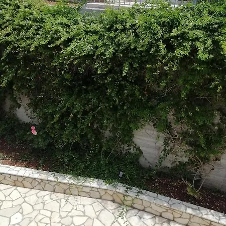 Clio Casa vacanze *
